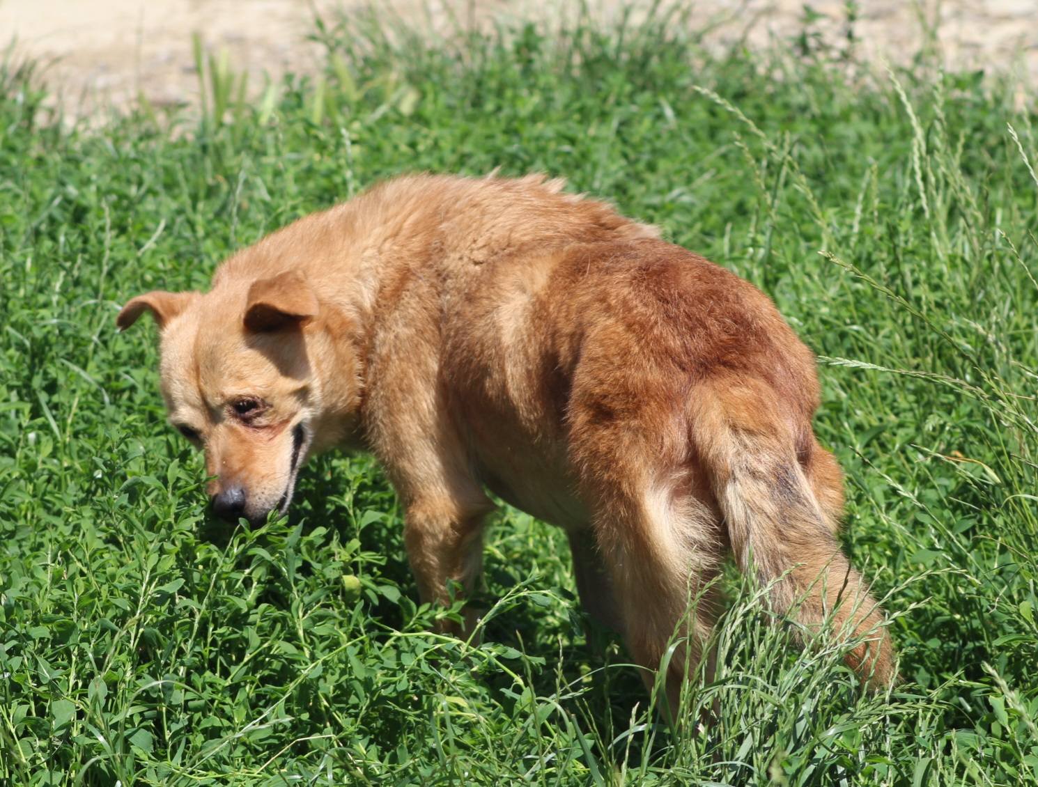 Diego Casa lui Patrocle 7