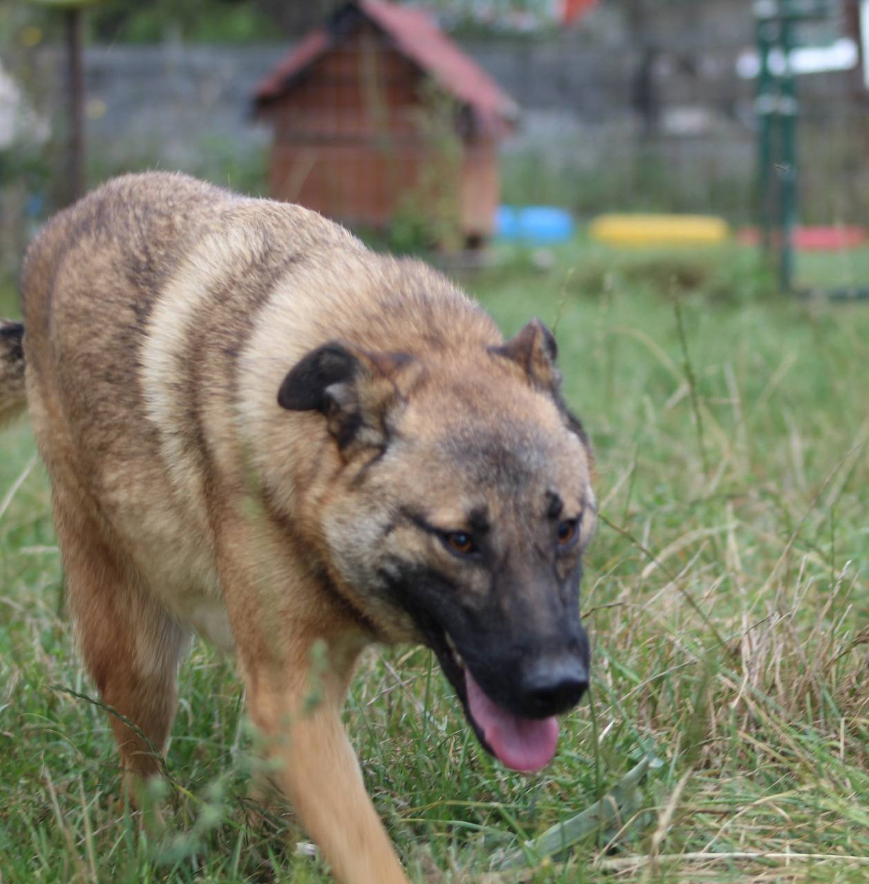 Doinita Casa lui Patrocle 3