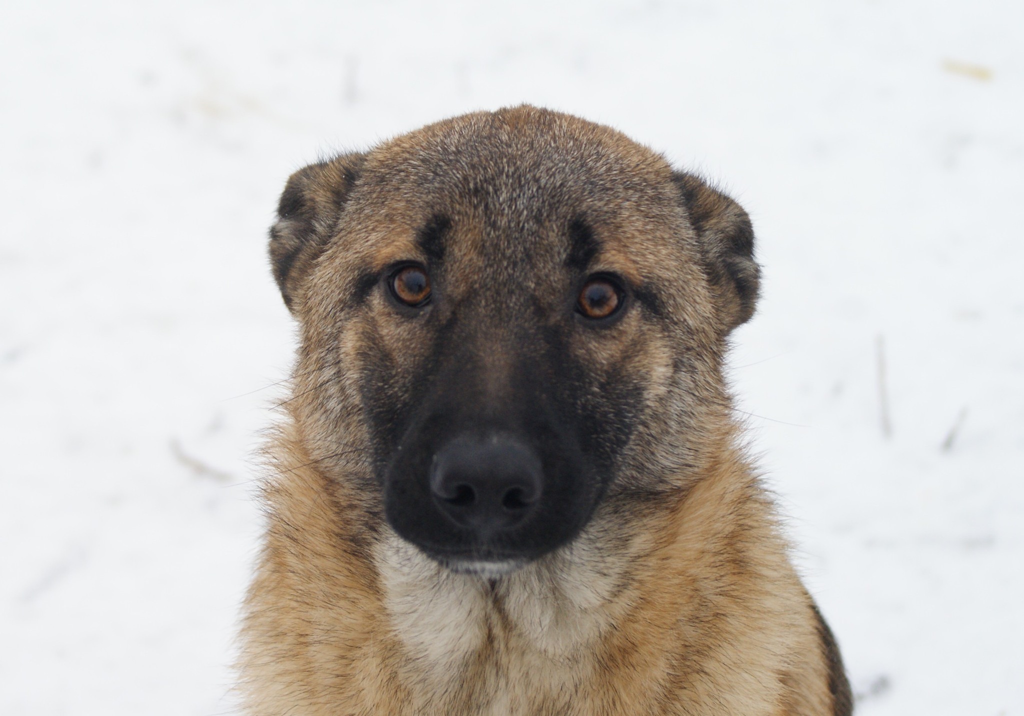 Doinita Casa lui Patrocle 6