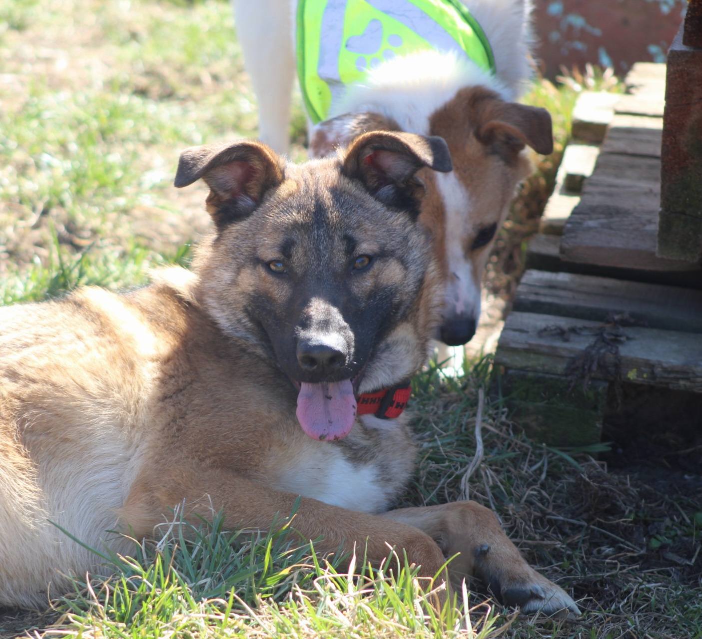 Doinita Casa lui Patrocle 7