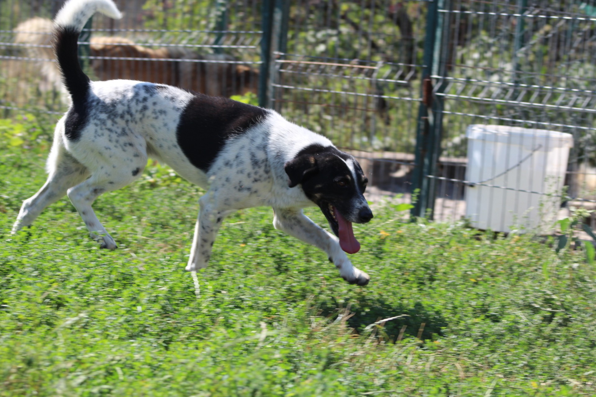 Donny Casa lui Patrocle 2