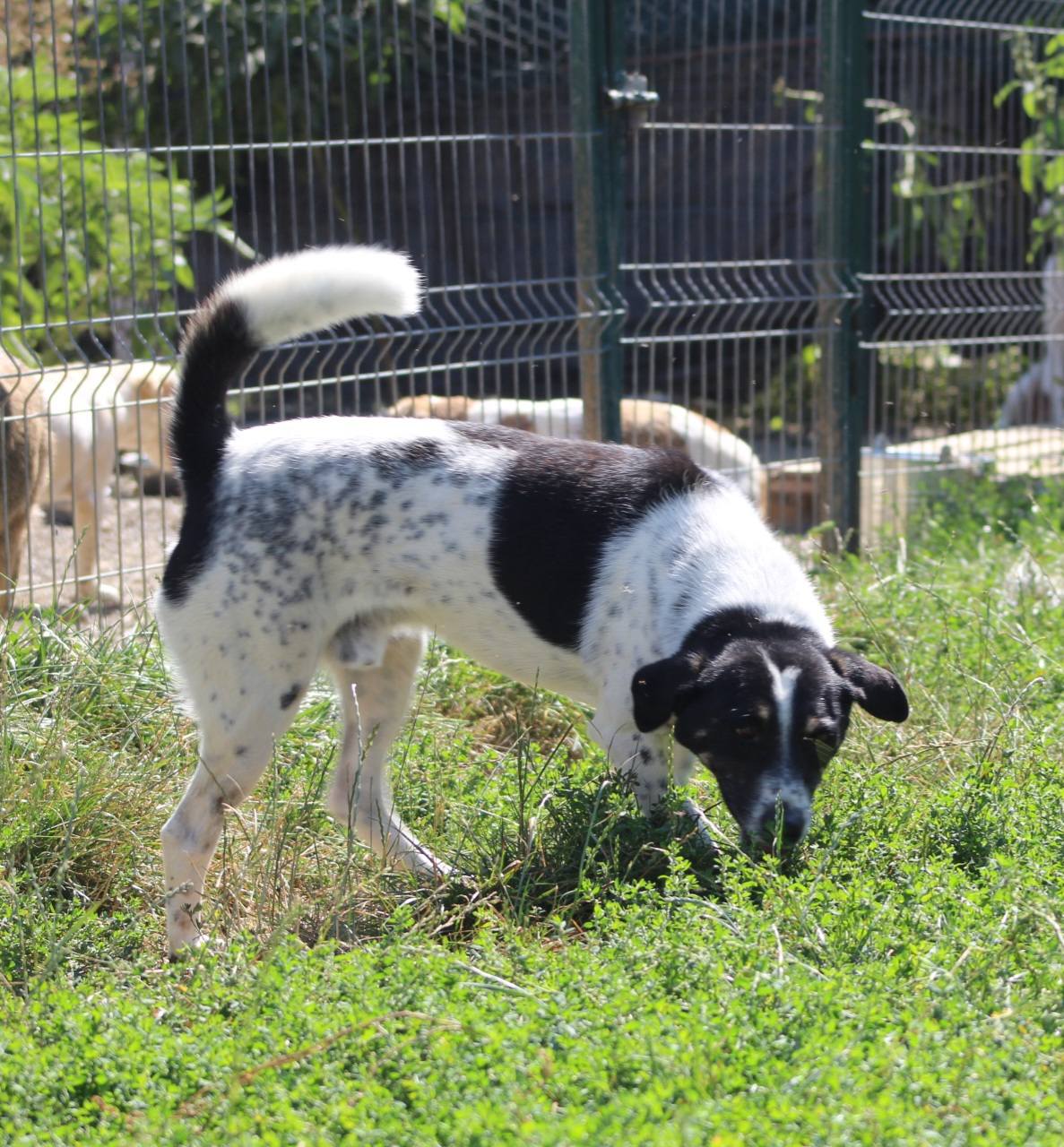 Donny Casa lui Patrocle 3