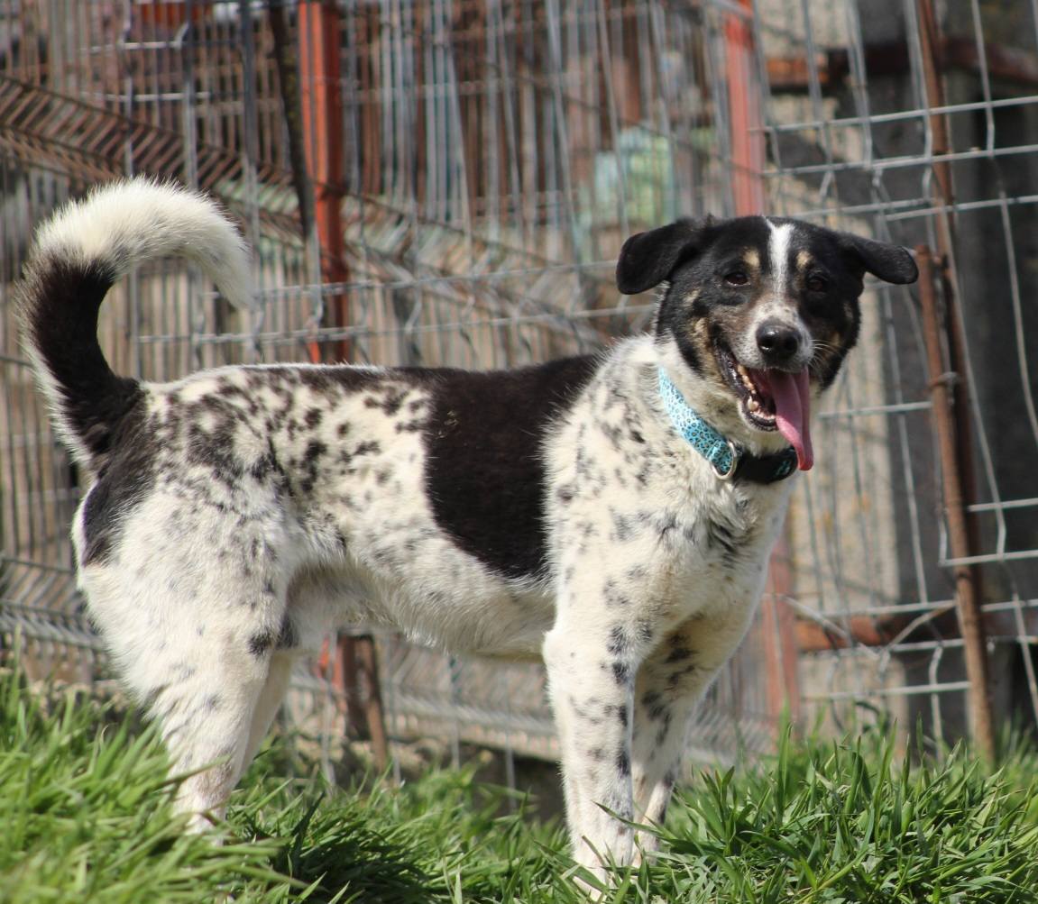 Donny Casa lui Patrocle 4