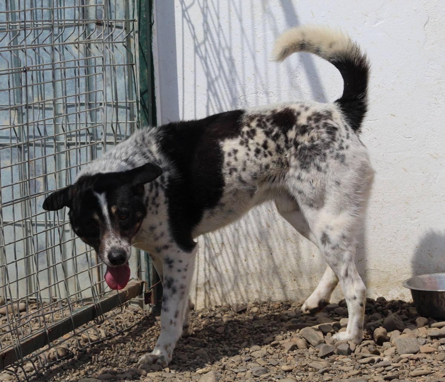 Donny Casa lui Patrocle 5