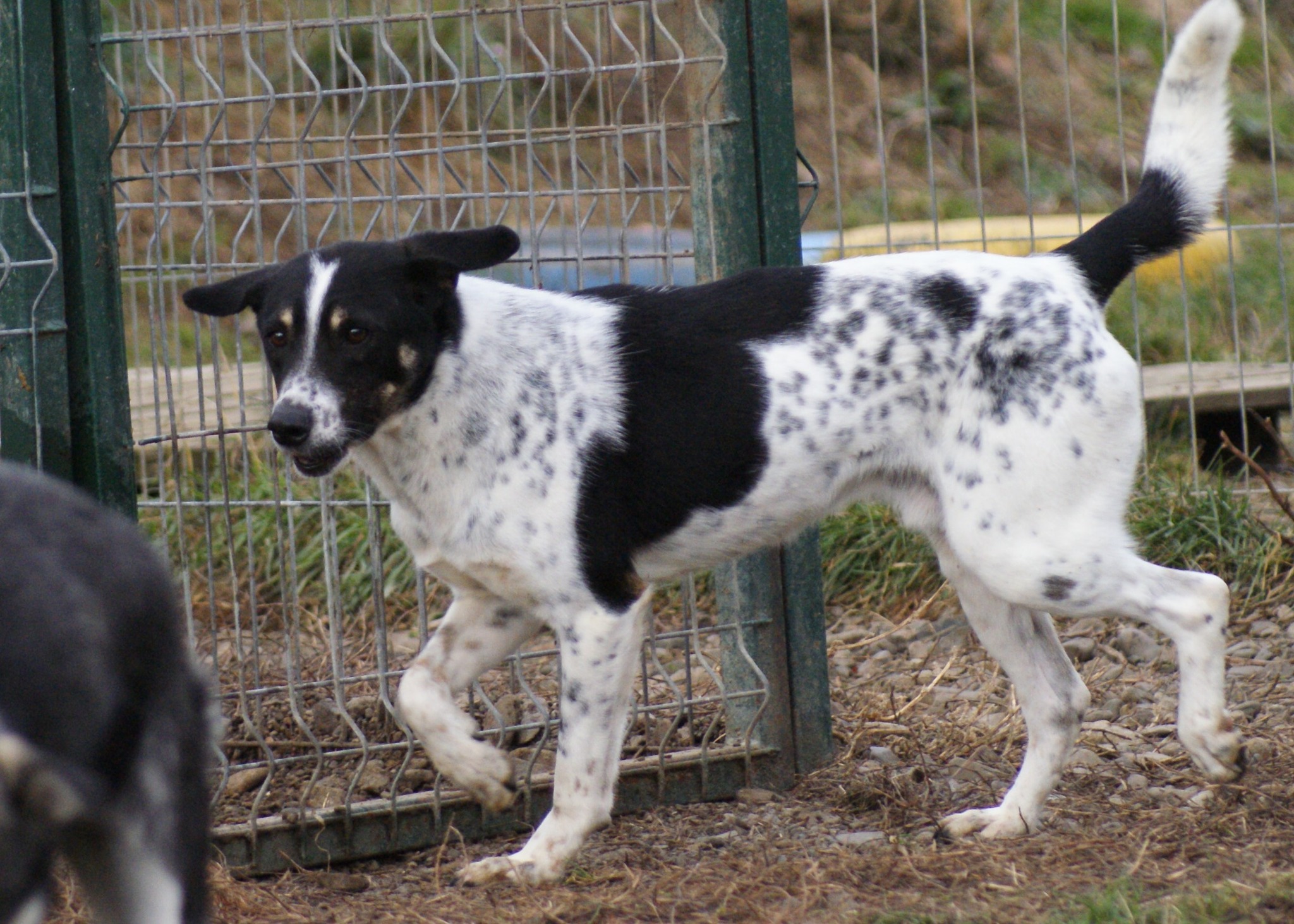 Donny Casa lui Patrocle 8