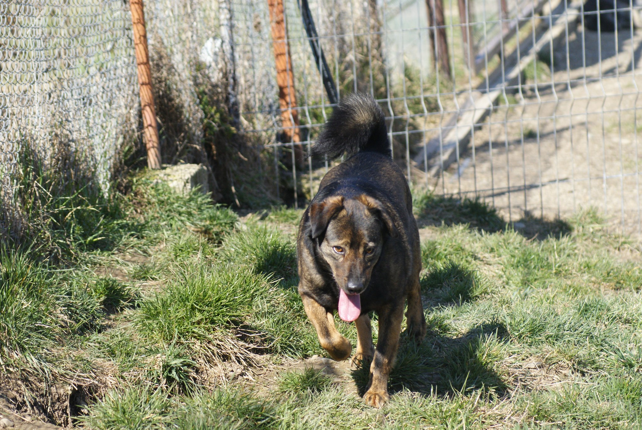 Dopey Casa lui Patrocle 8