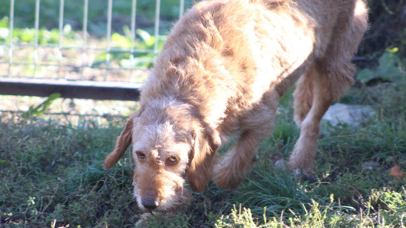 Elias Casa lui Patrocle 2