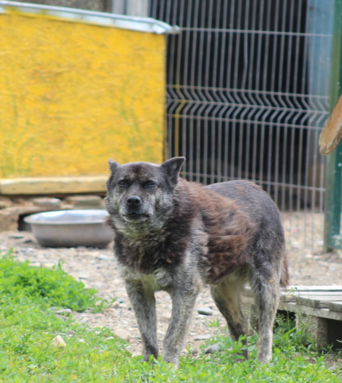 Fatomas Casa lui Patrocle 3