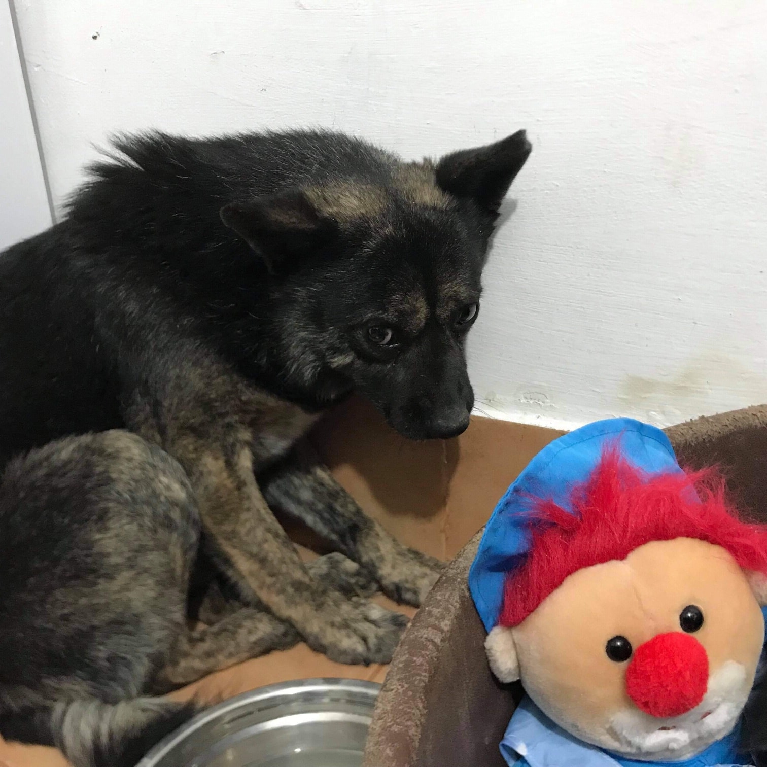 Fatomas Casa lui Patrocle 4