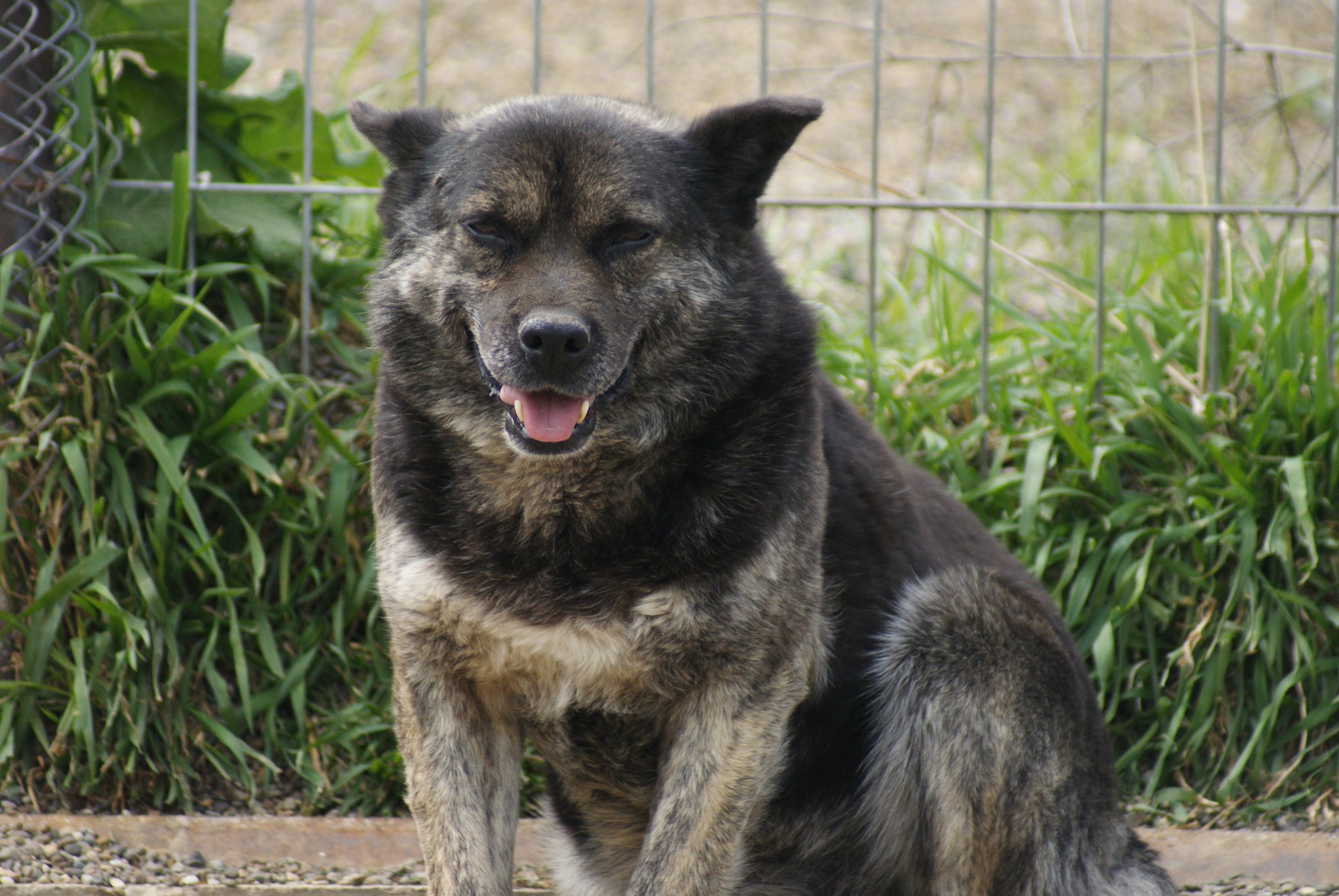 Fatomas Casa lui Patrocle 5