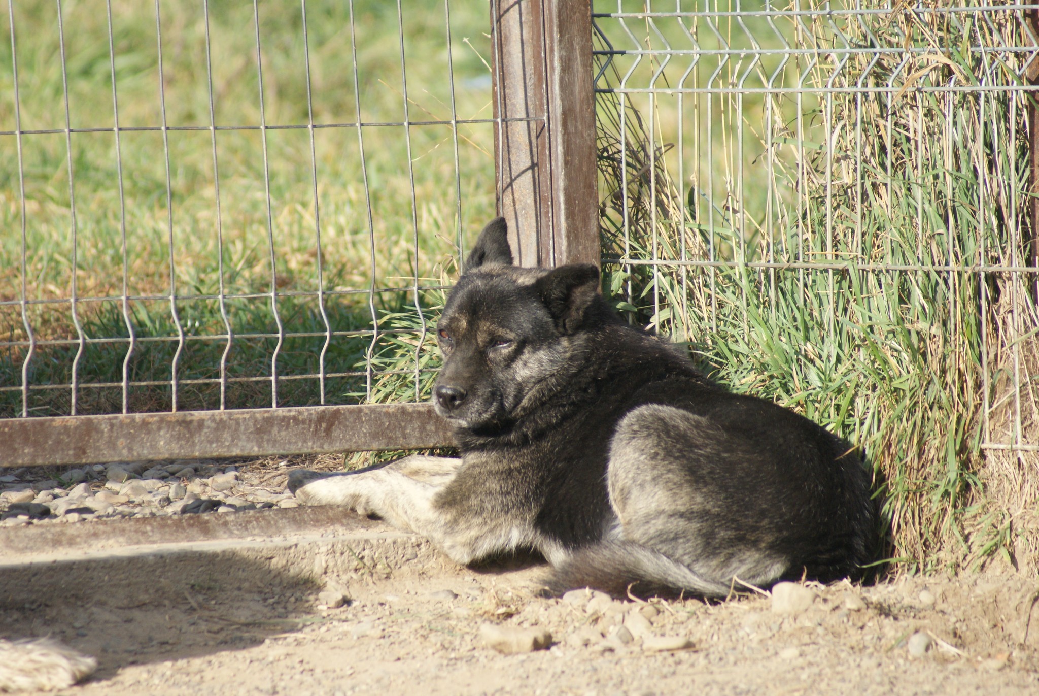 Fatomas Casa lui Patrocle 6
