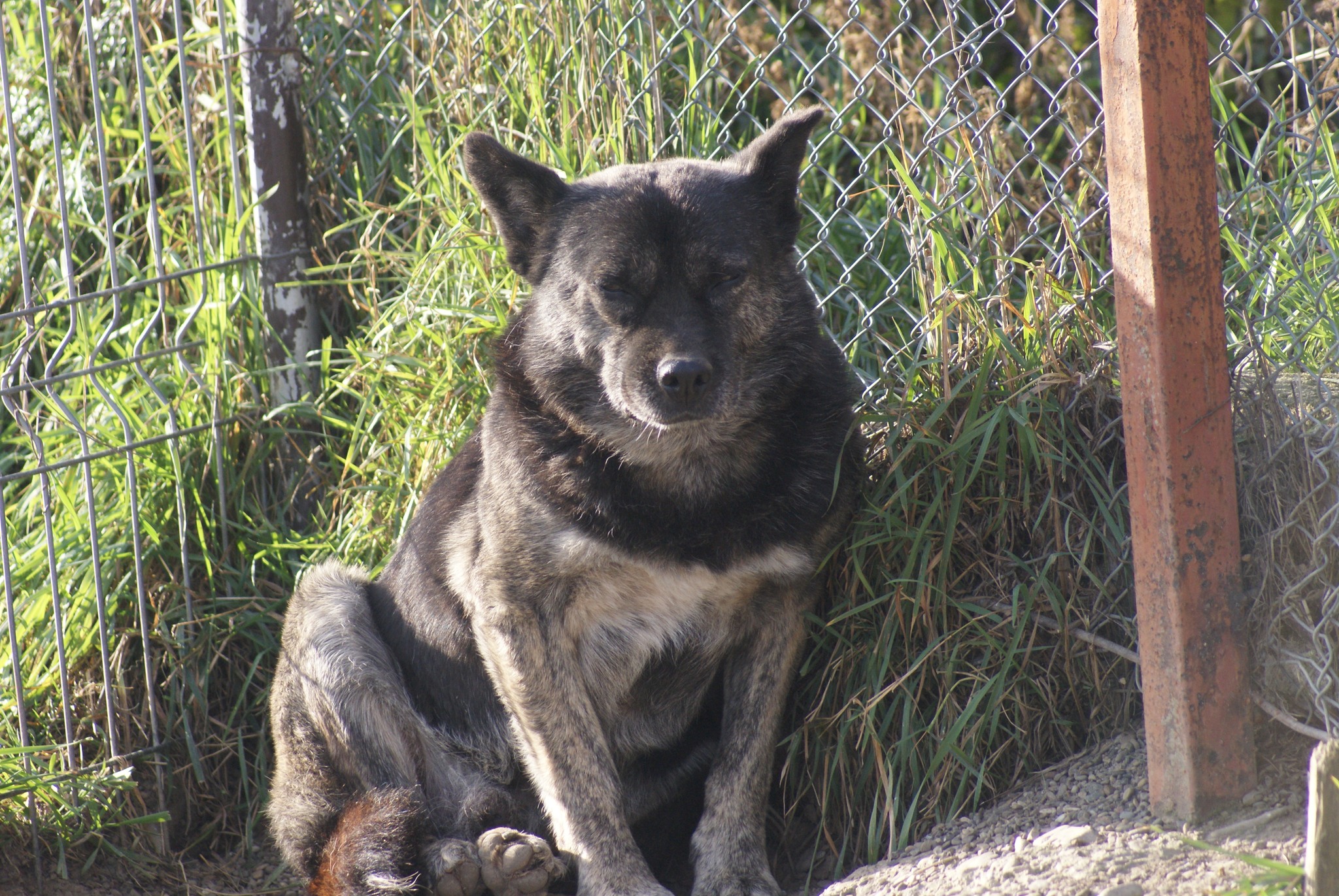 Fatomas Casa lui Patrocle 8