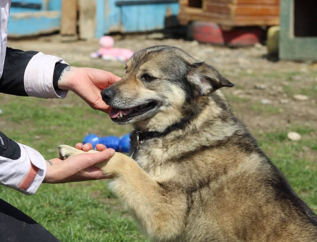 Finchen Casa lui Patrocle 8