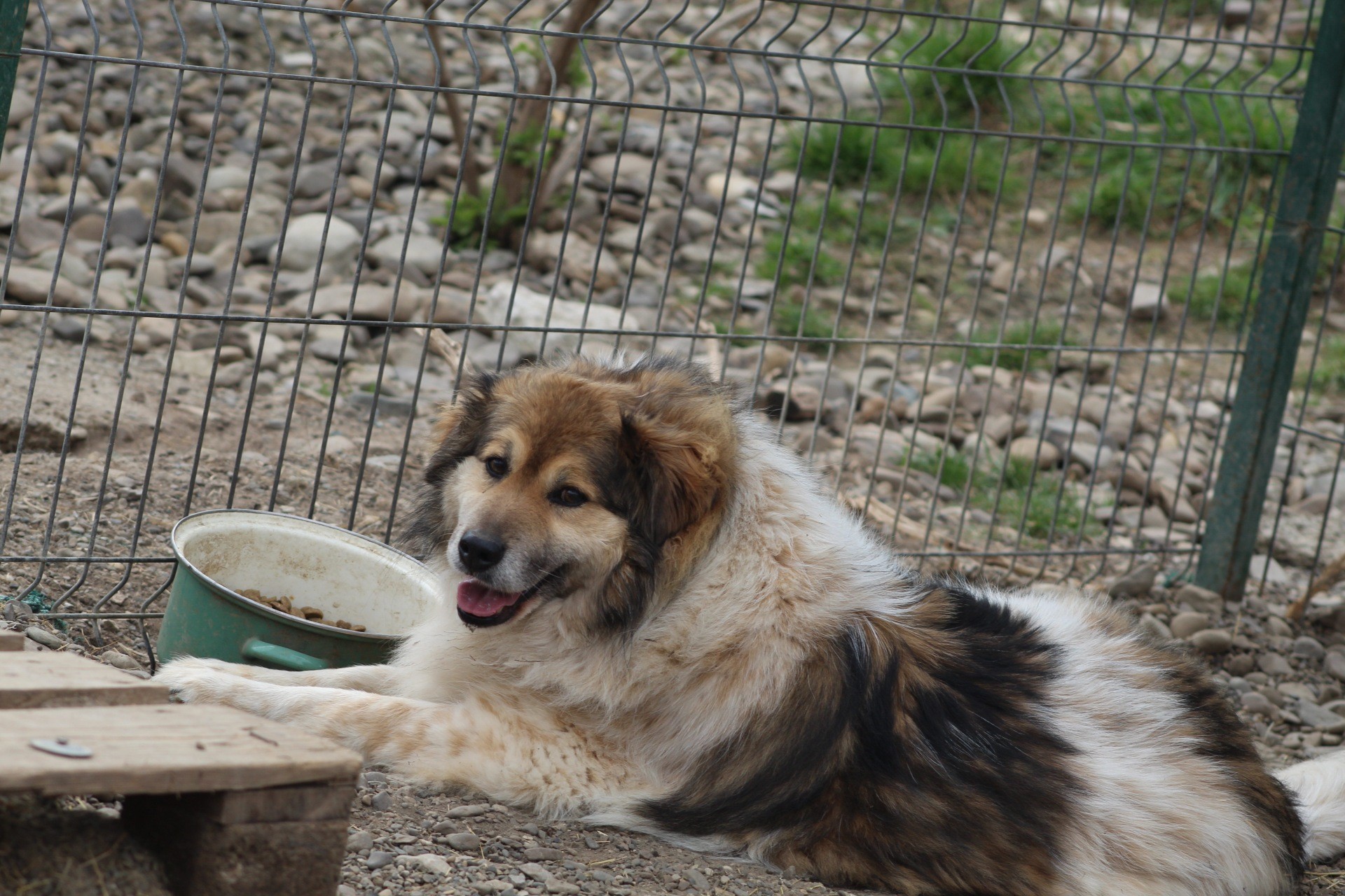 Franklin Casa lui Patrocle 4