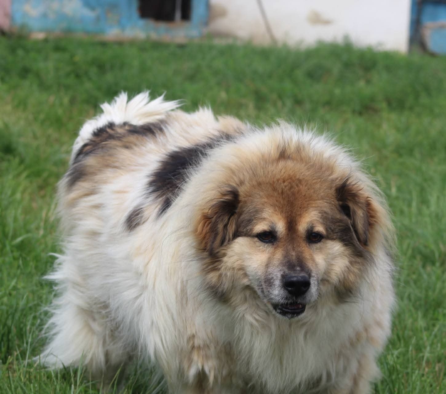 Franklin Casa lui Patrocle 7