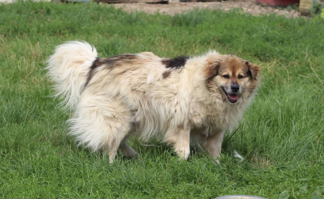 Franklin Casa lui Patrocle 8