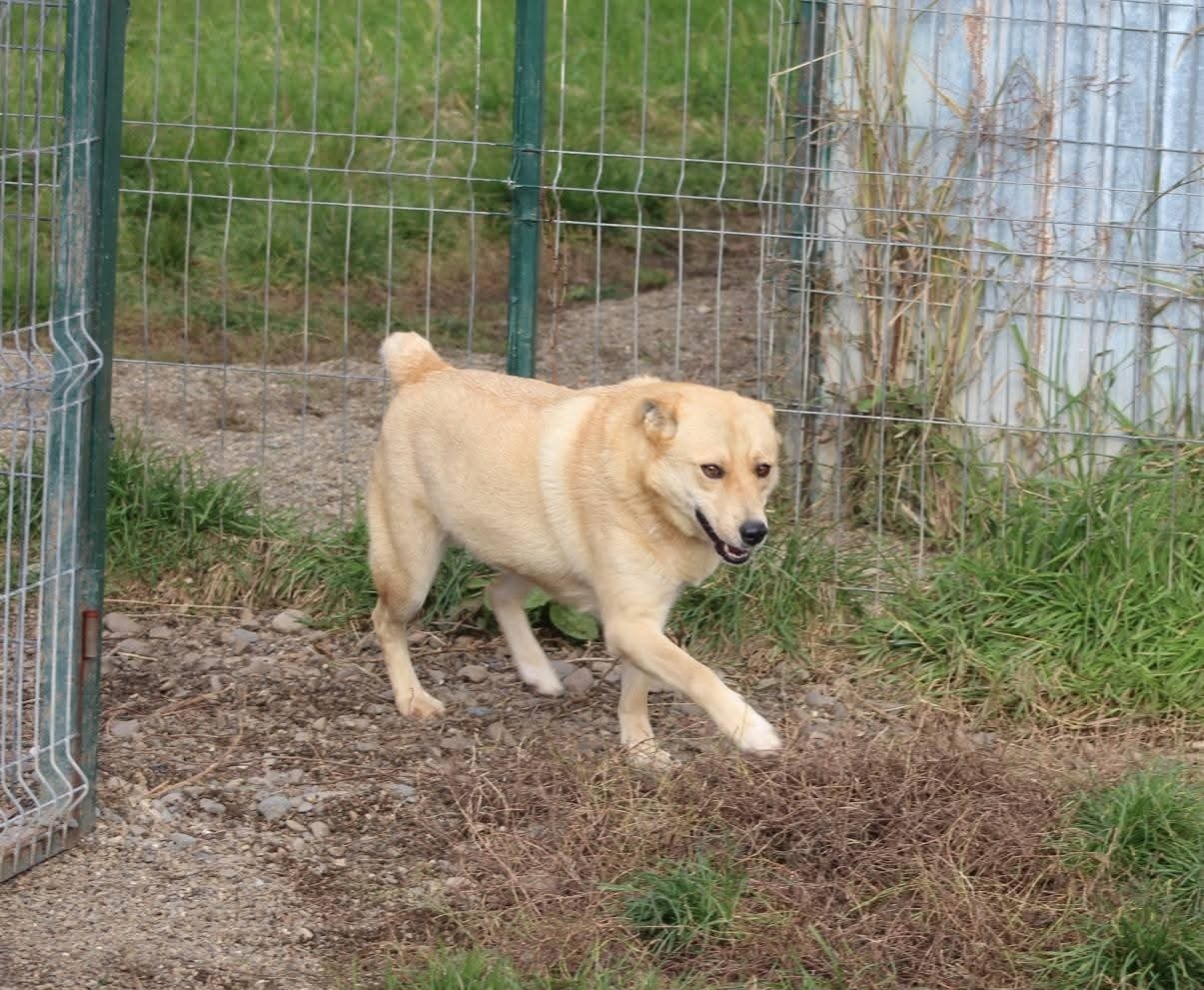 Fred Casa lui Patrocle 2