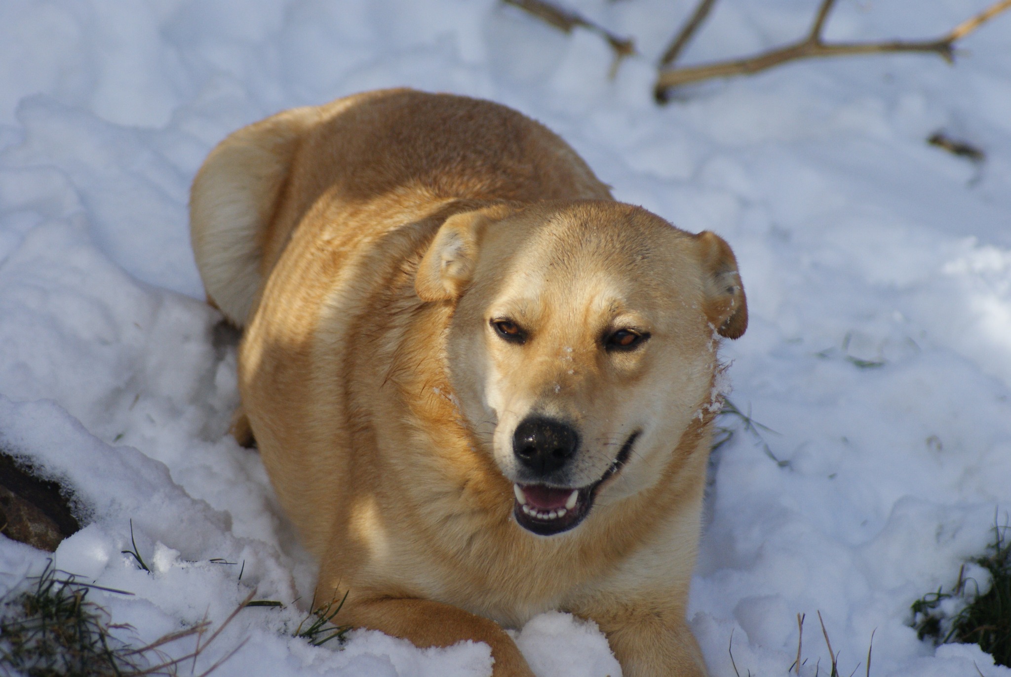 Fred Casa lui Patrocle 4