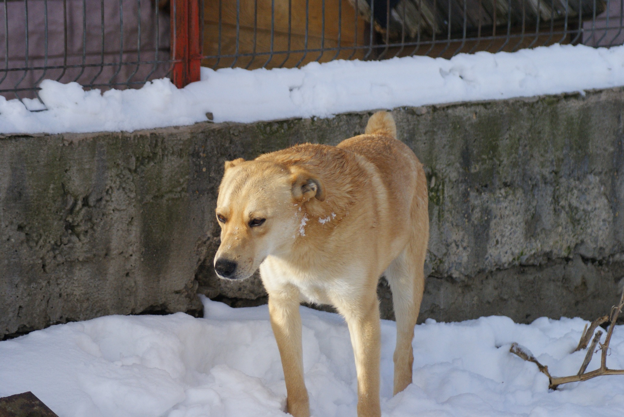 Fred Casa lui Patrocle 5