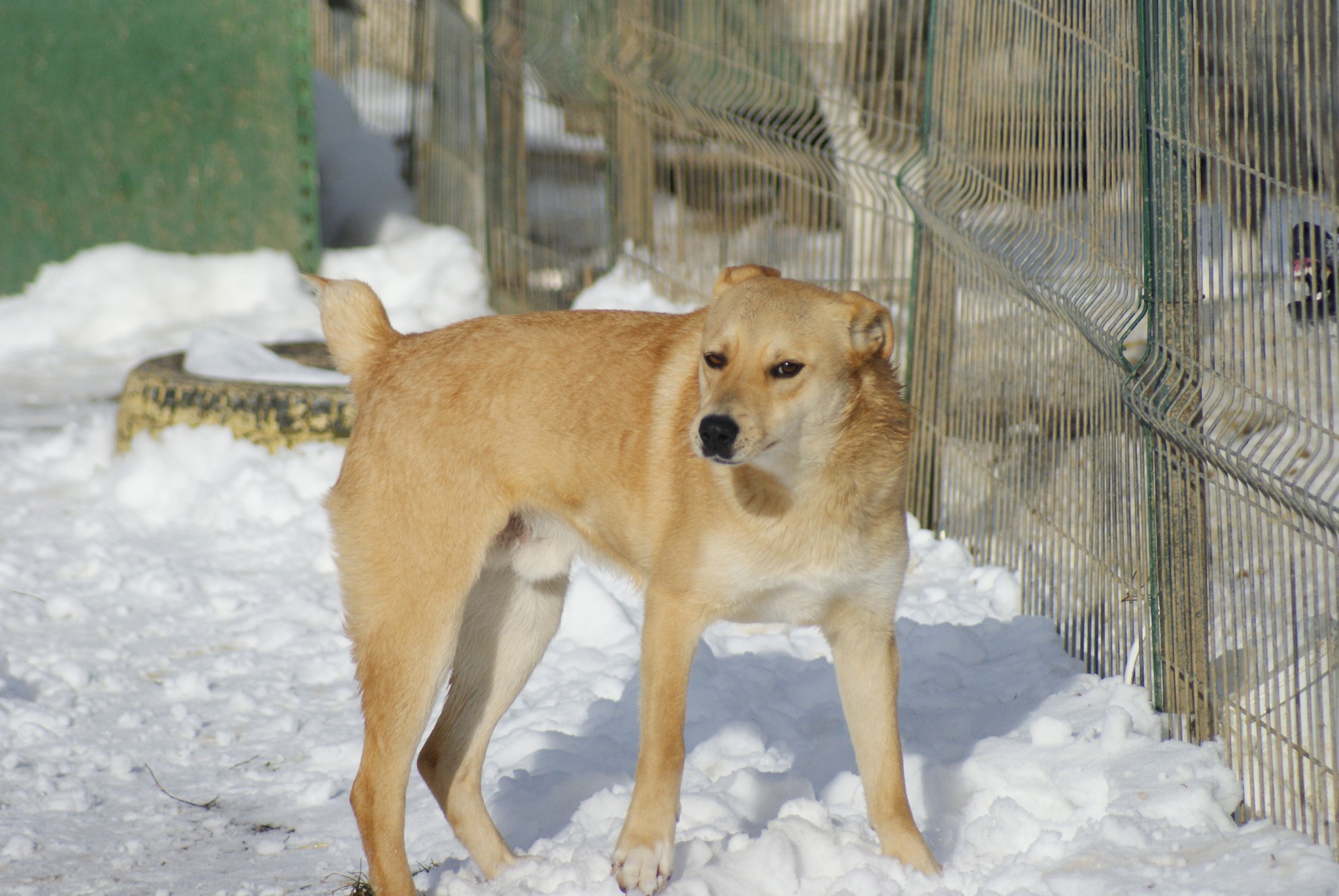 Fred Casa lui Patrocle 6