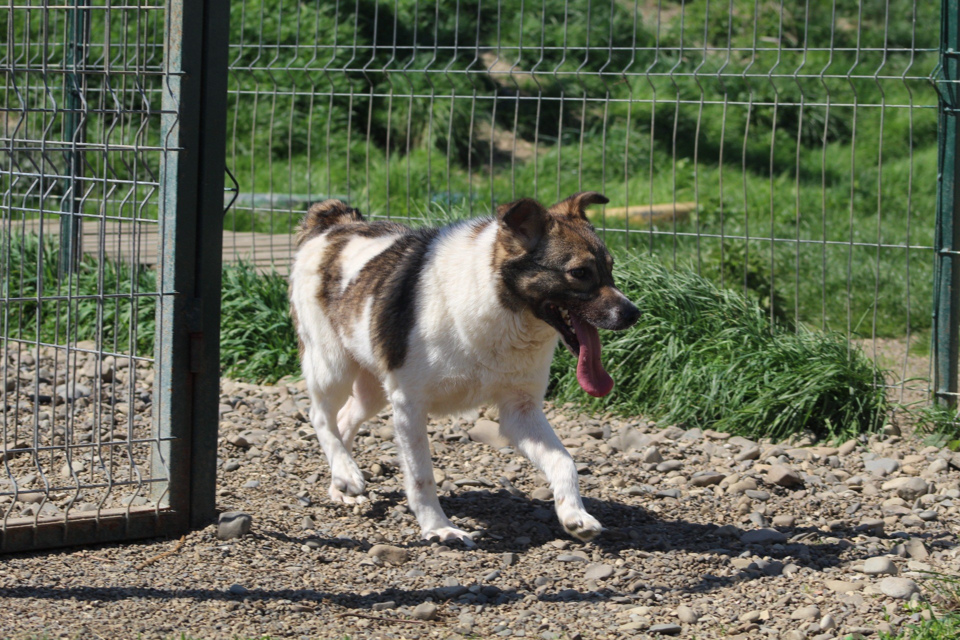 Gurita Casa lui Patrocle 2