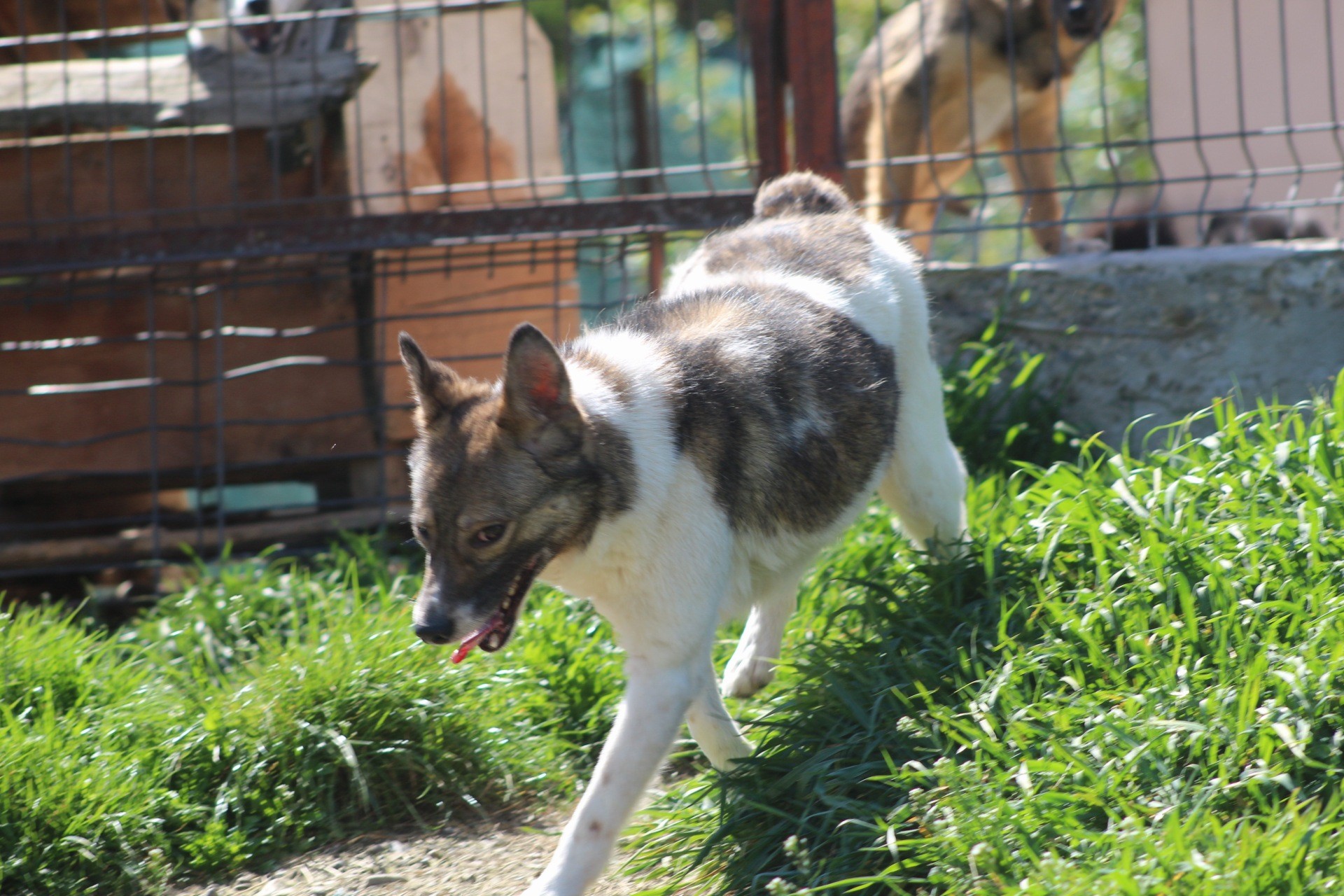 Gurita Casa lui Patrocle 4