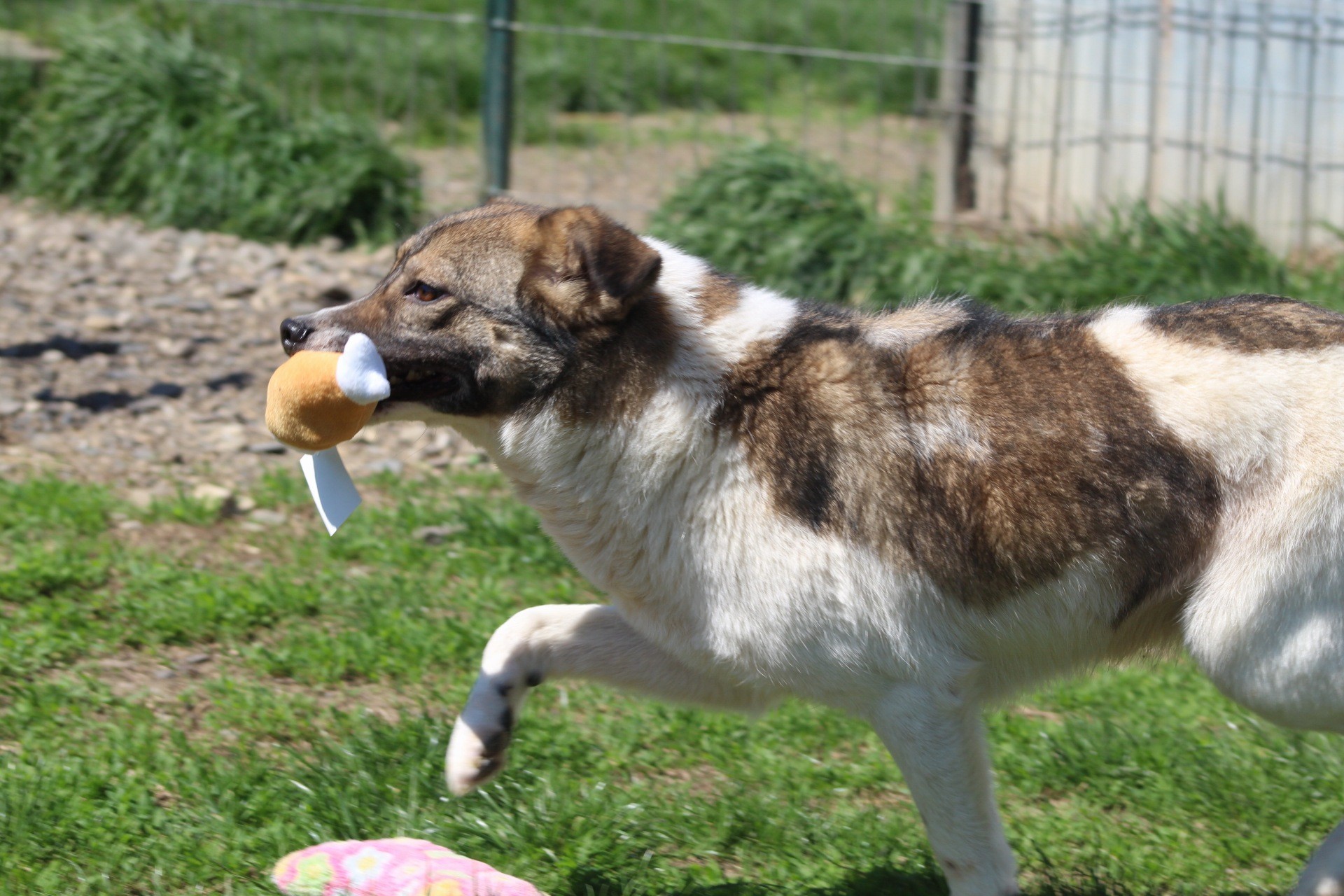 Gurita Casa lui Patrocle 7