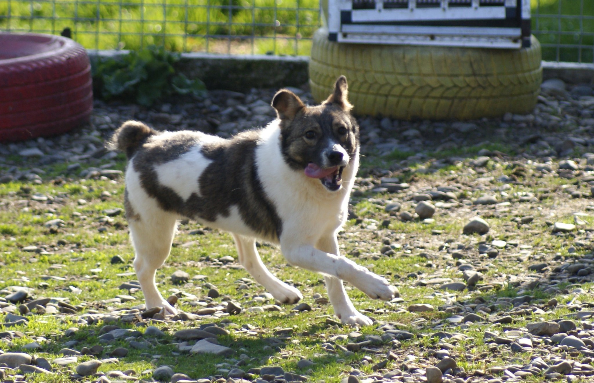 Gurita Casa lui Patrocle 8