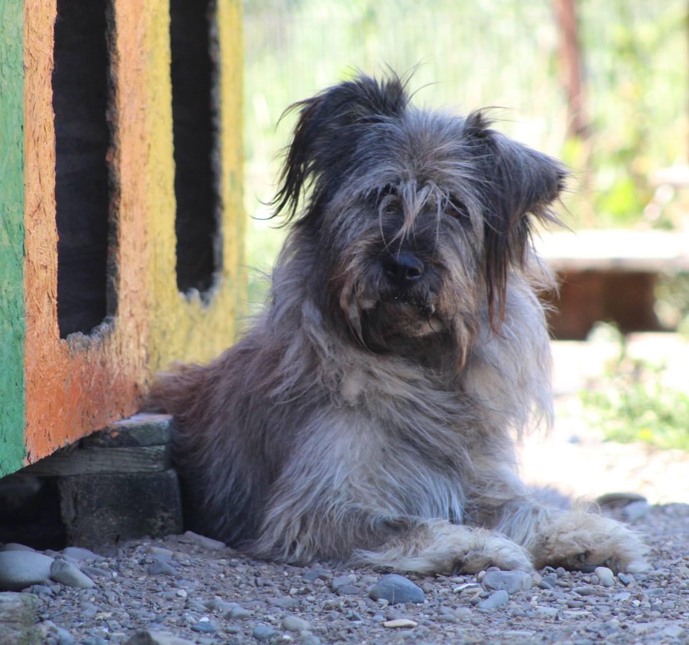 Isabelle Casa lui Patrocle 2