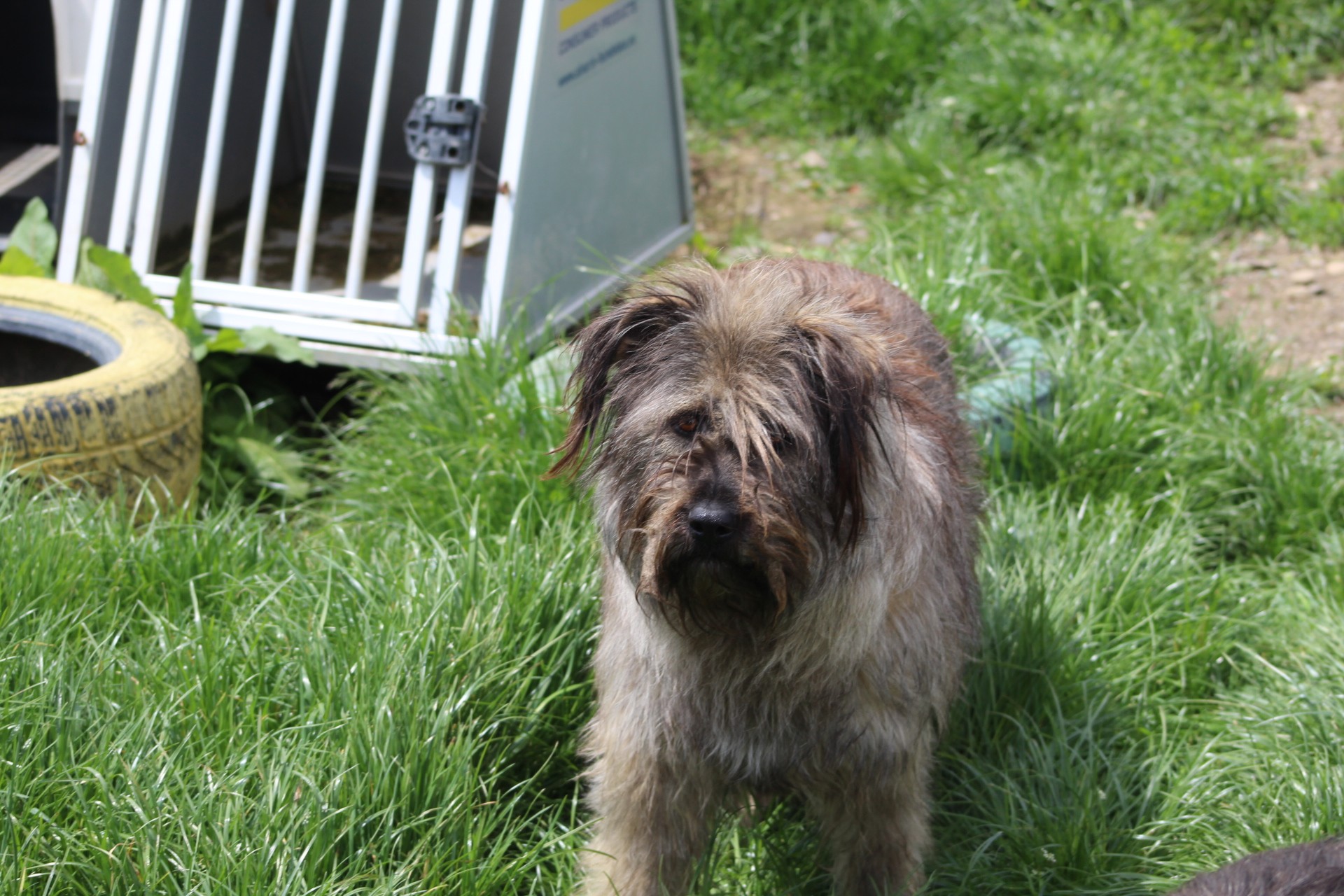 Isabelle Casa lui Patrocle 5