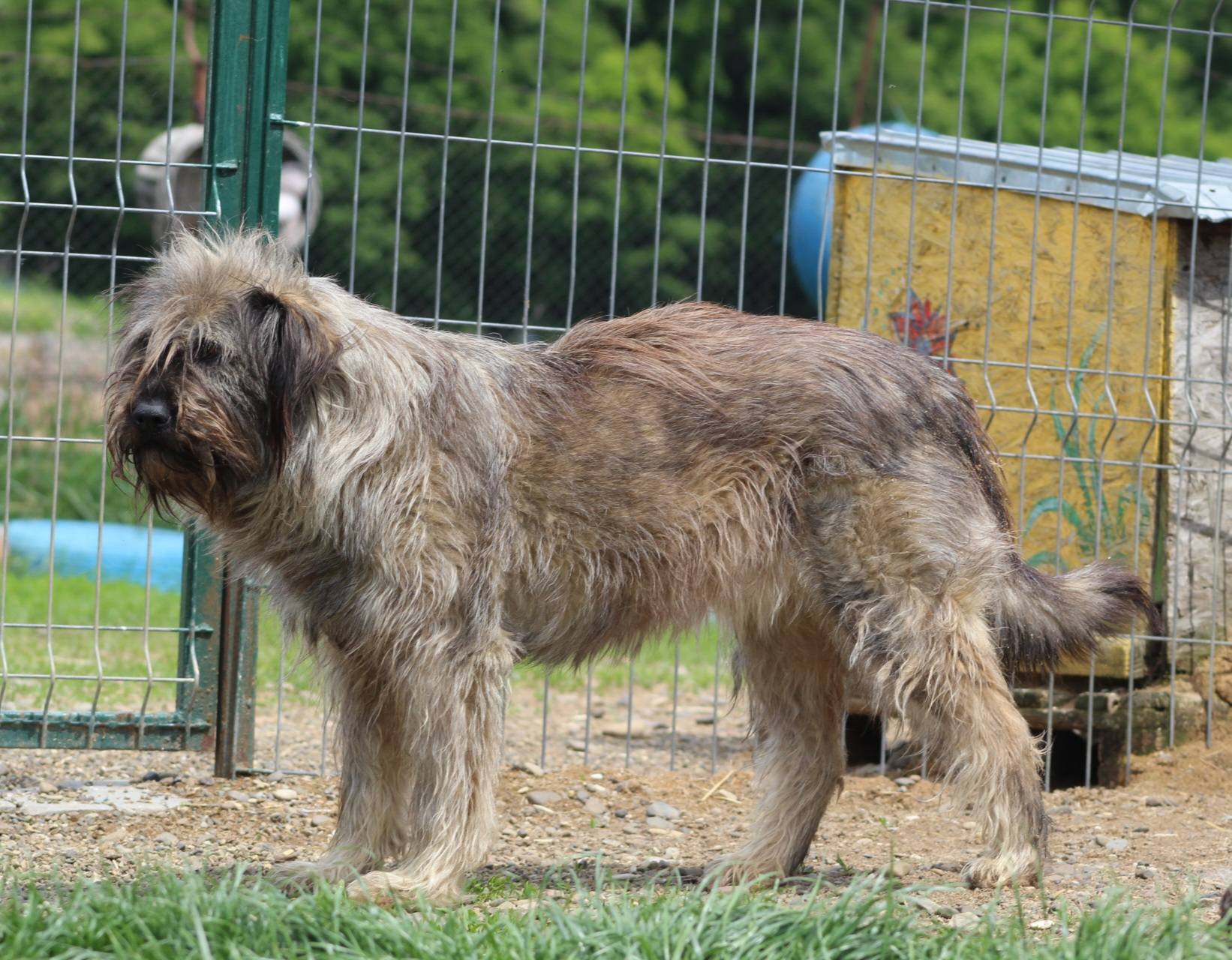 Isabelle Casa lui Patrocle 6