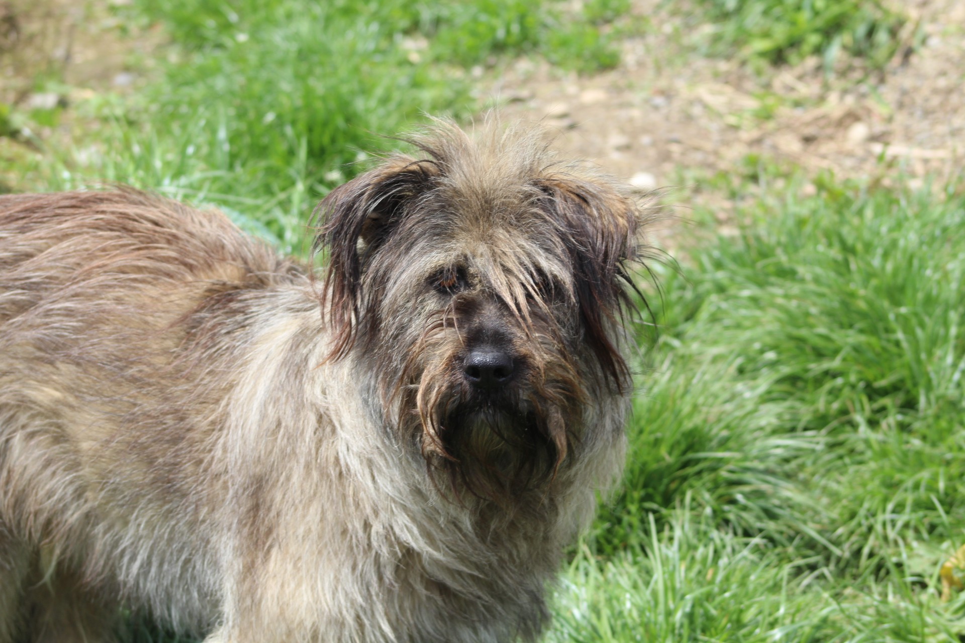 Isabelle Casa lui Patrocle 7