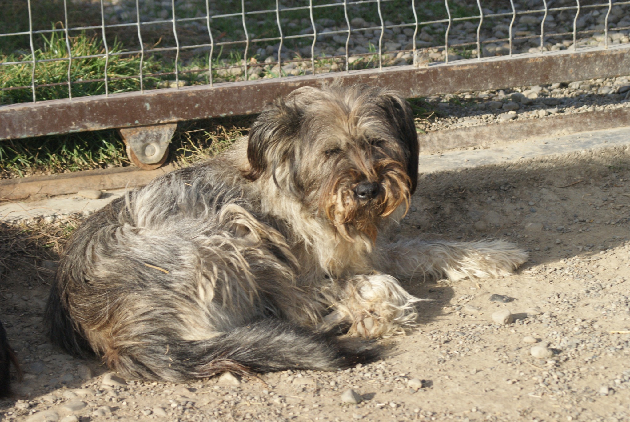 Isabelle Casa lui Patrocle 8