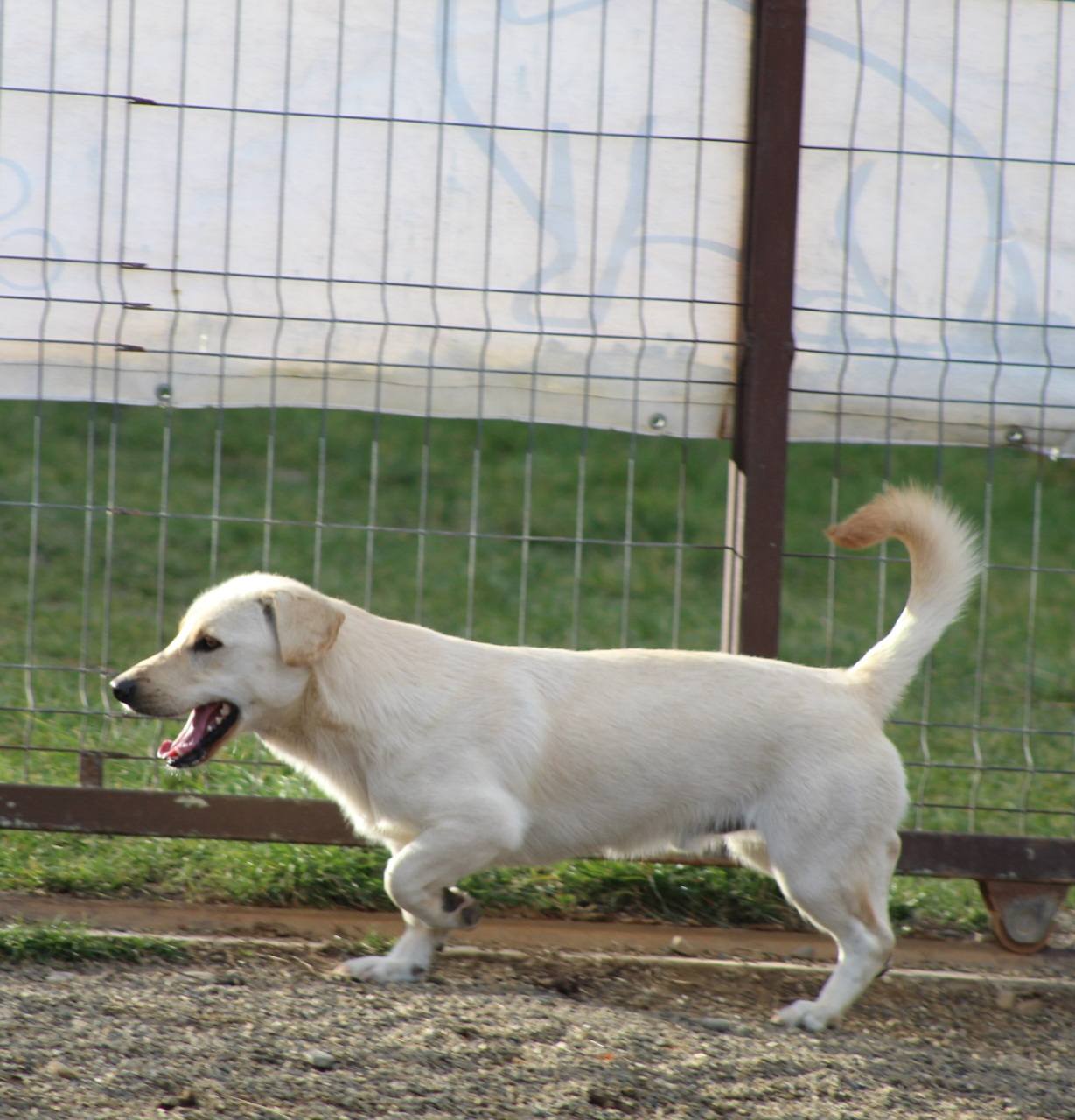 Jeff Casa lui Patrocle 3