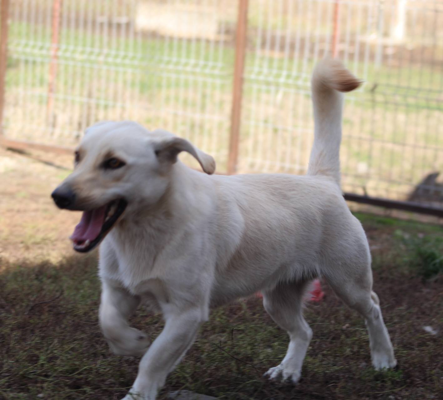 Jeff Casa lui Patrocle 7