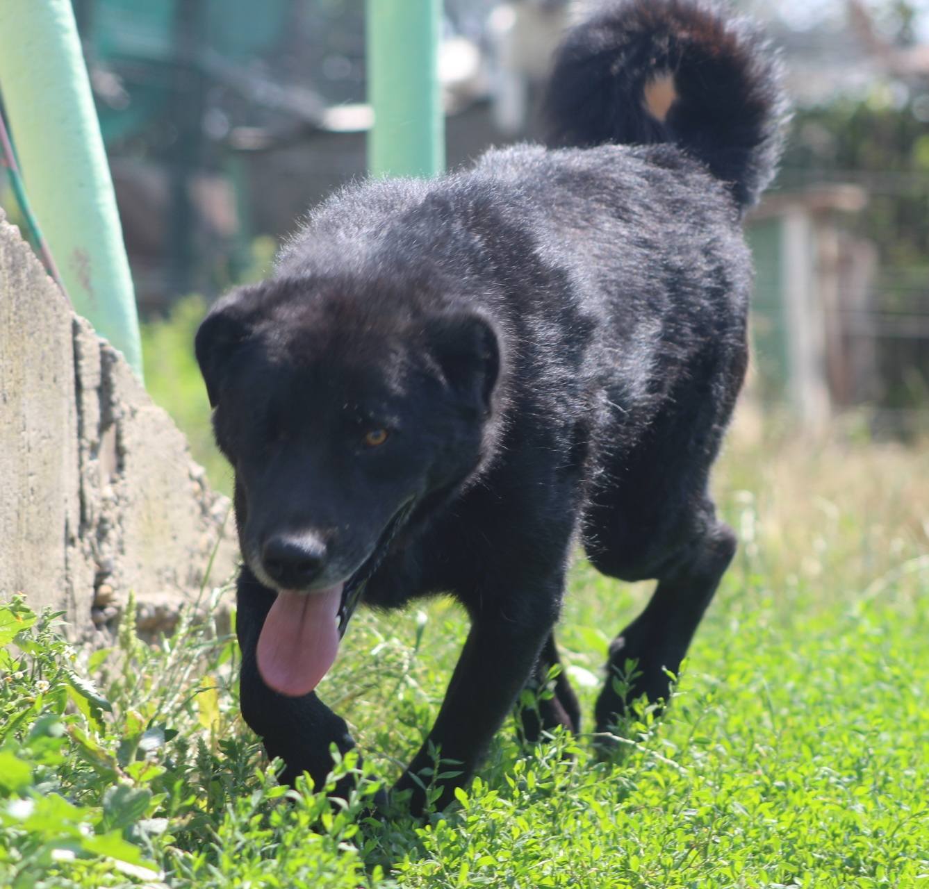 Jim-Knopf Casa lui Patrocle 3