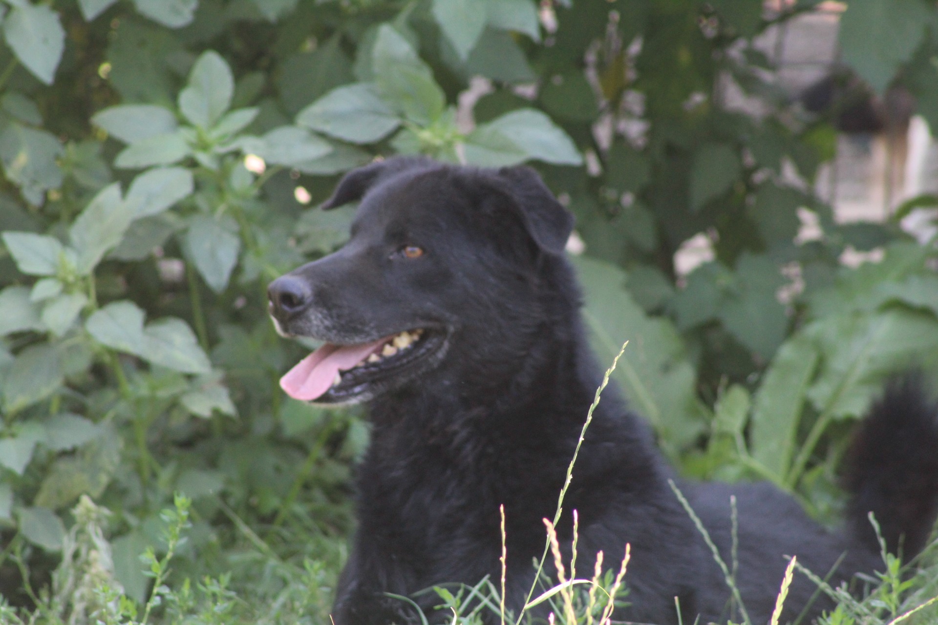 Jim-Knopf Casa lui Patrocle 4