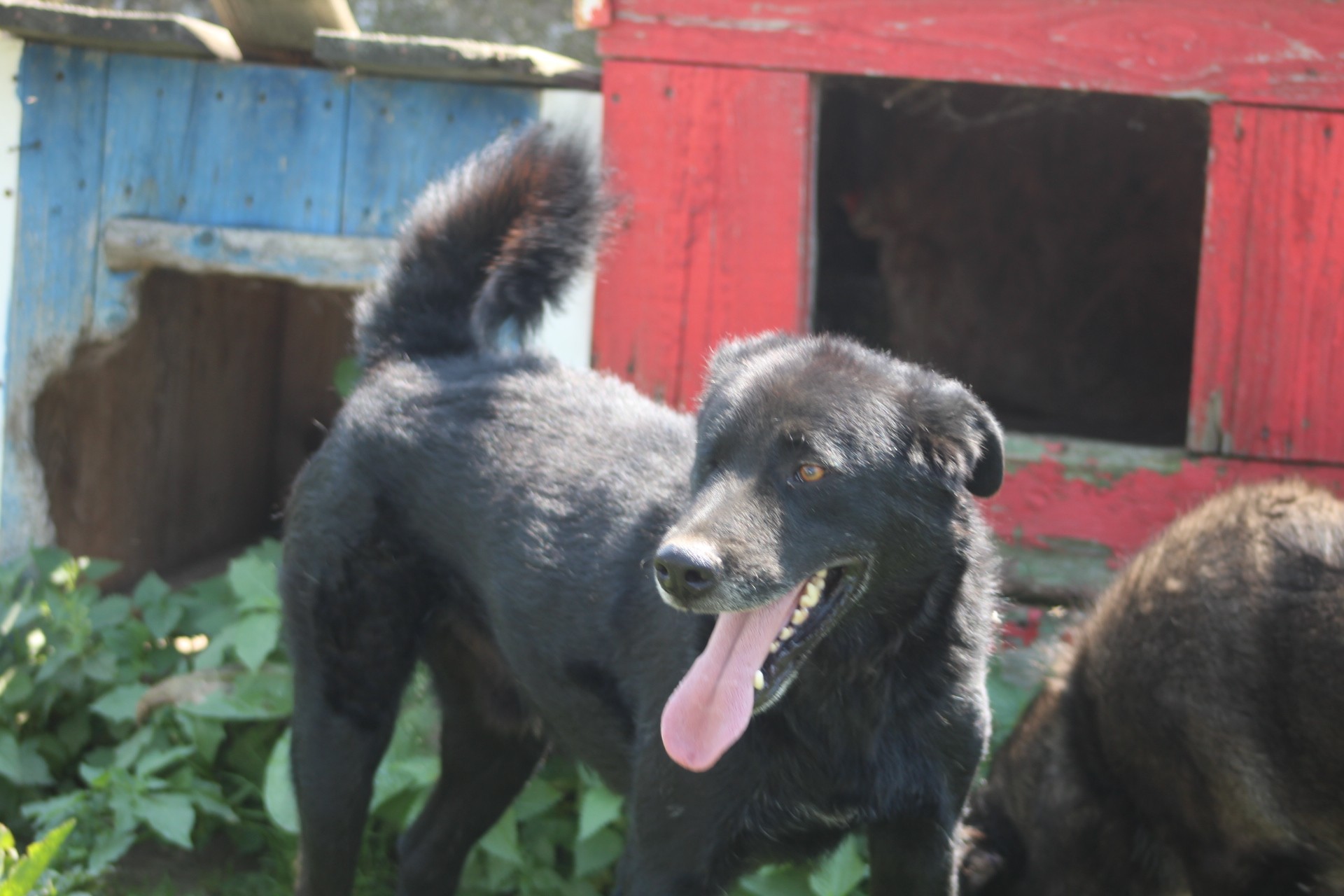 Jim-Knopf Casa lui Patrocle 5