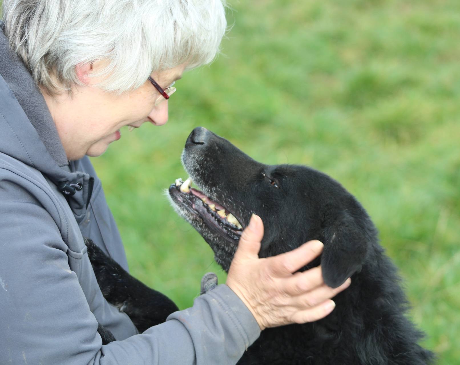 Jim-Knopf Casa lui Patrocle 7