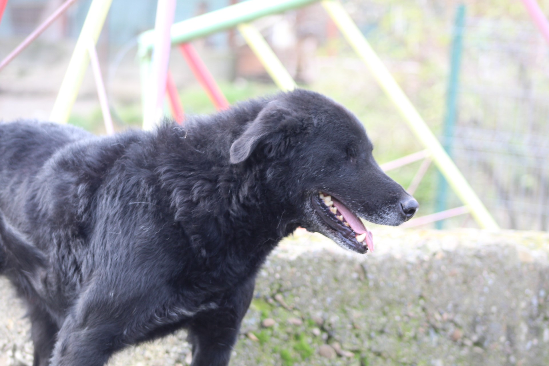 Jim-Knopf Casa lui Patrocle 8