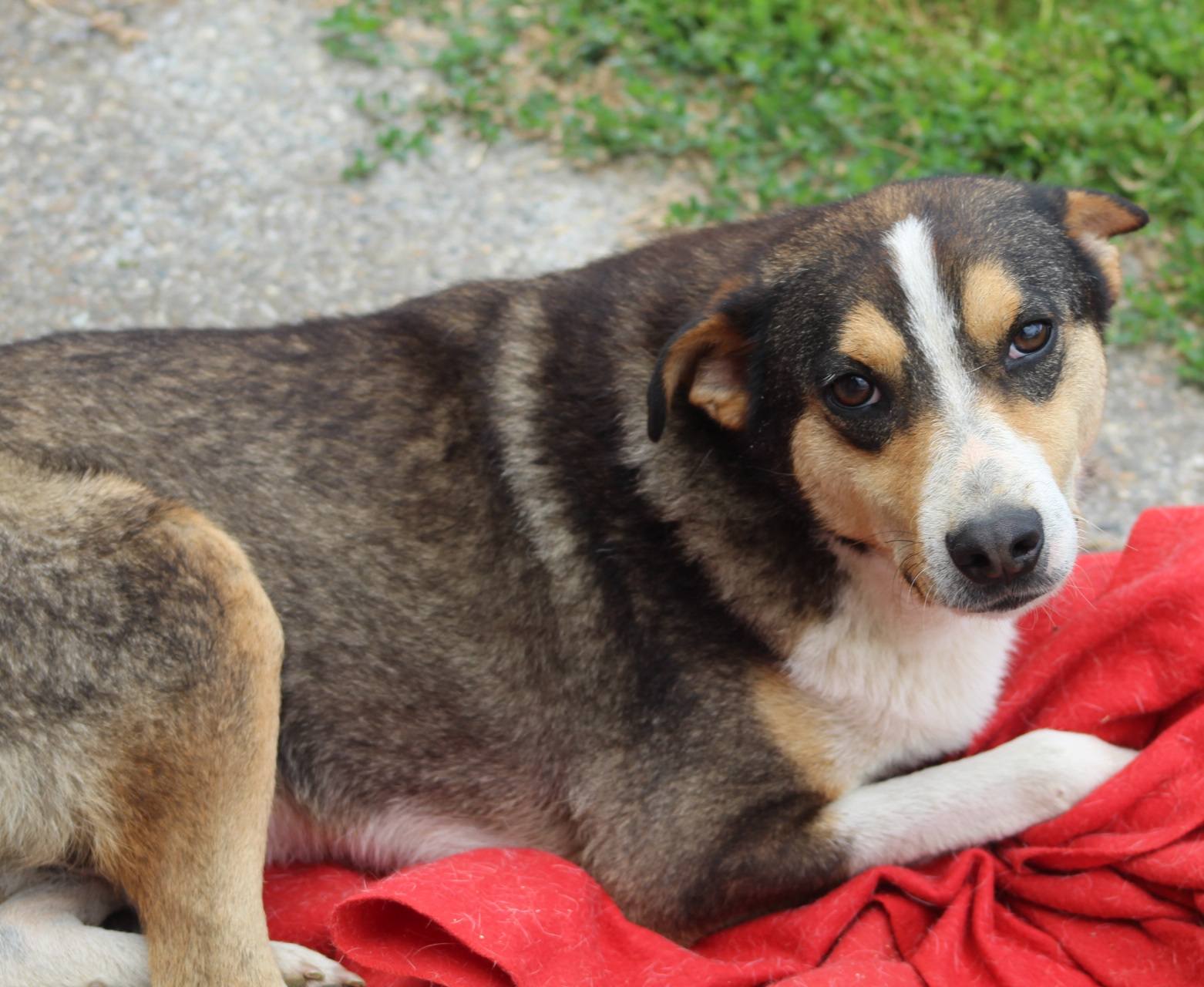 Jimmy Casa lui Patrocle 2