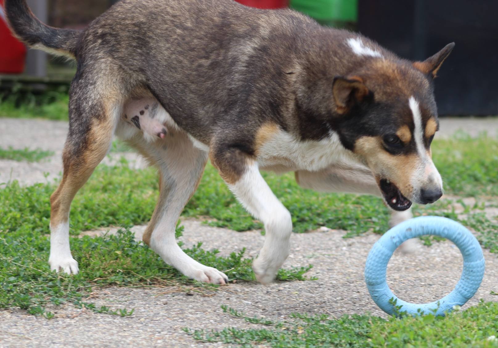 Jimmy Casa lui Patrocle 5