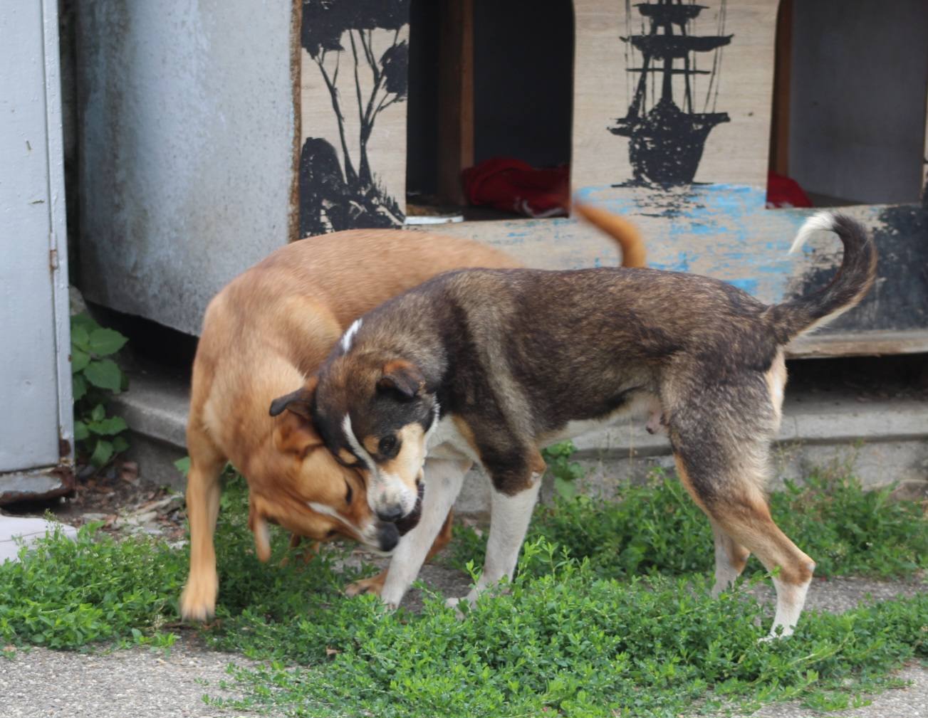 Jimmy Casa lui Patrocle 7