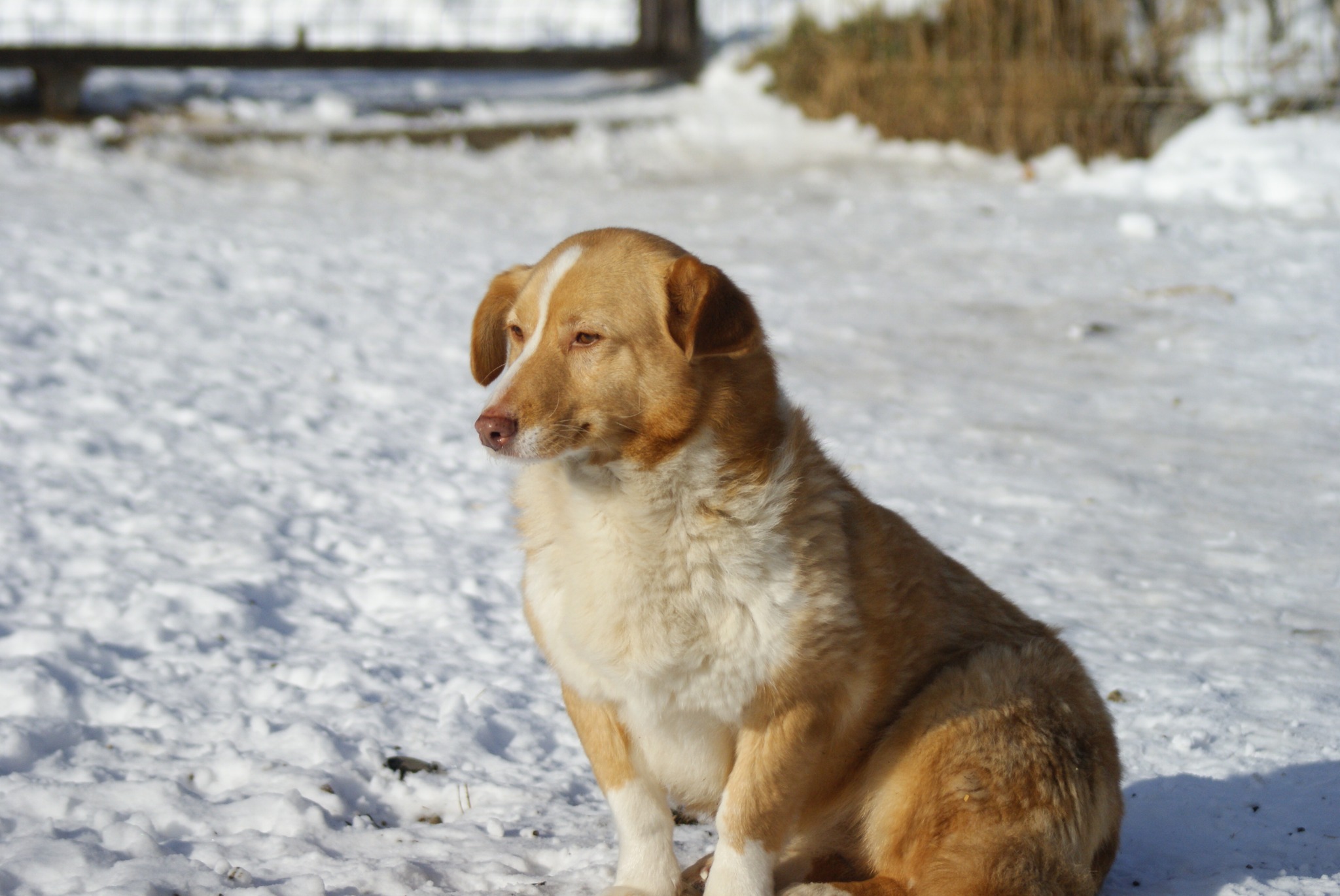 Joy Casa lui Patrocle 4