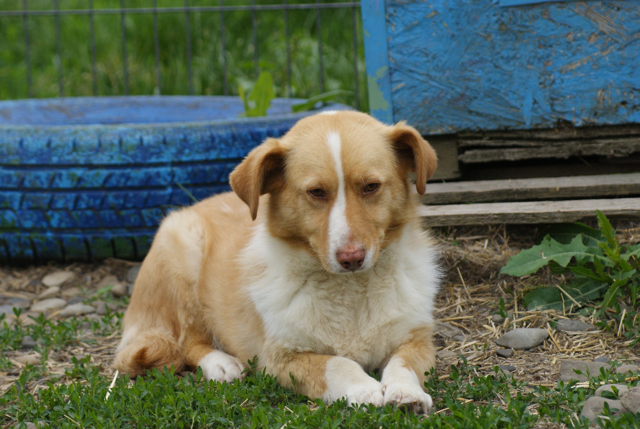 Joy Casa lui Patrocle 6