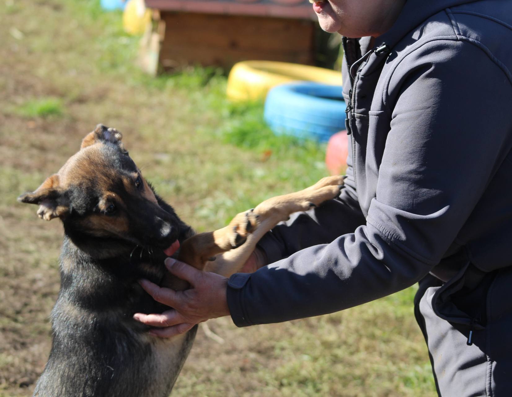 Juno Casa lui Patrocle 4