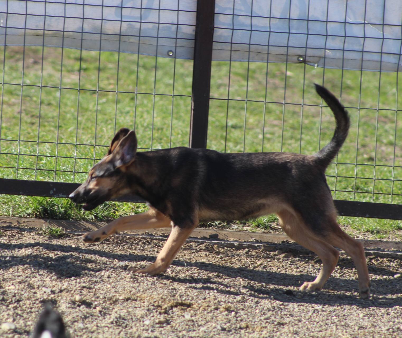 Juno Casa lui Patrocle 6