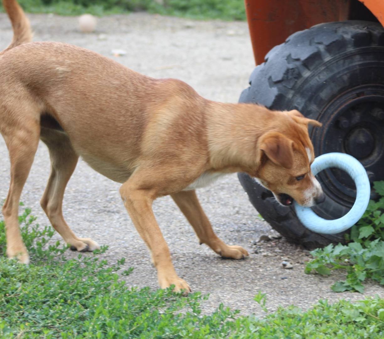 Kiko Casa lui Patrocle 2