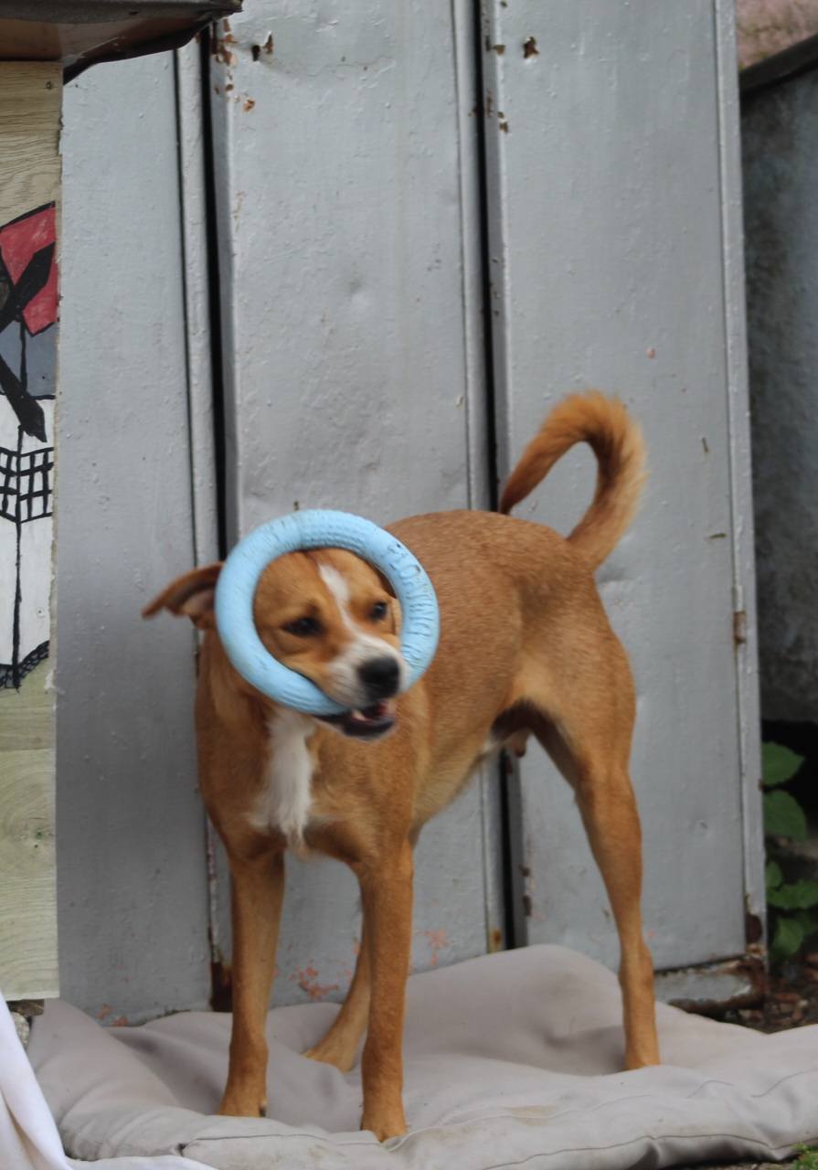 Kiko Casa lui Patrocle 3