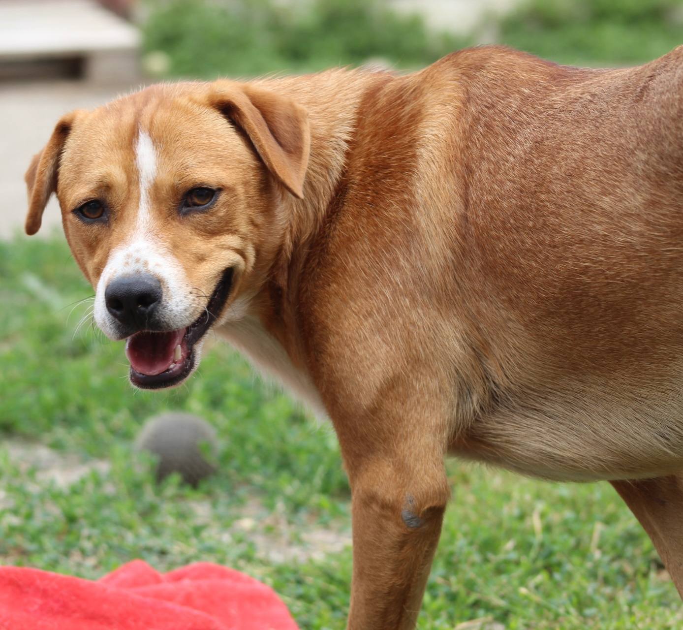 Kiko Casa lui Patrocle 5